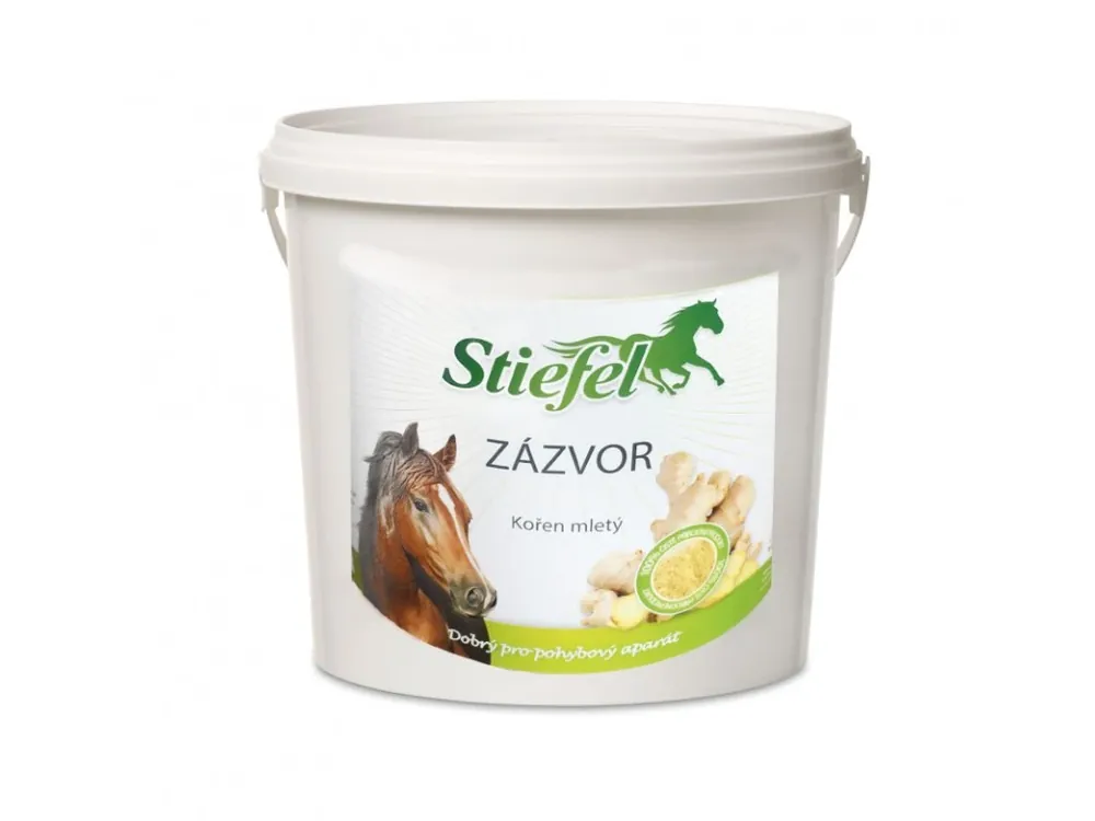 Horká Nabídka Zázvor (Balení, 1 kg)