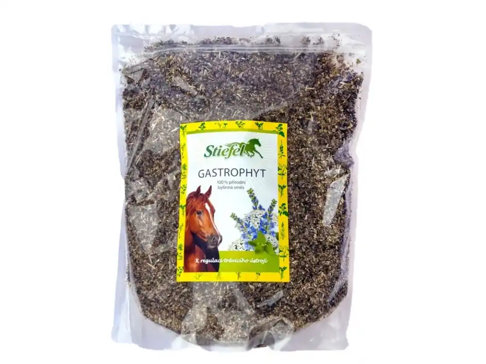 Nejlepší Cena Gastrophyt = Byliny na střeva, Sáček 1 kg řezané byliny
