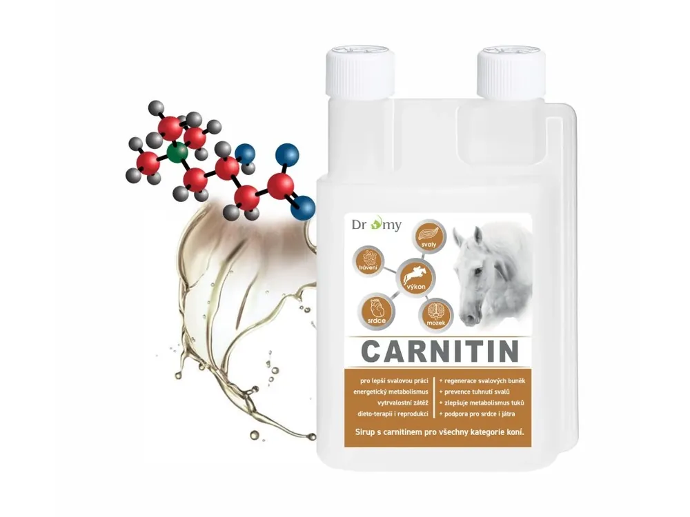 Dromy L-Carnitin sirup 1l Aktuální