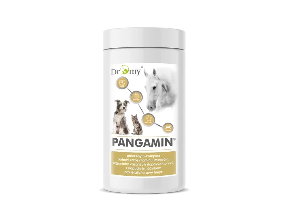 Aktuální Dromy Pangamin 800 tablet