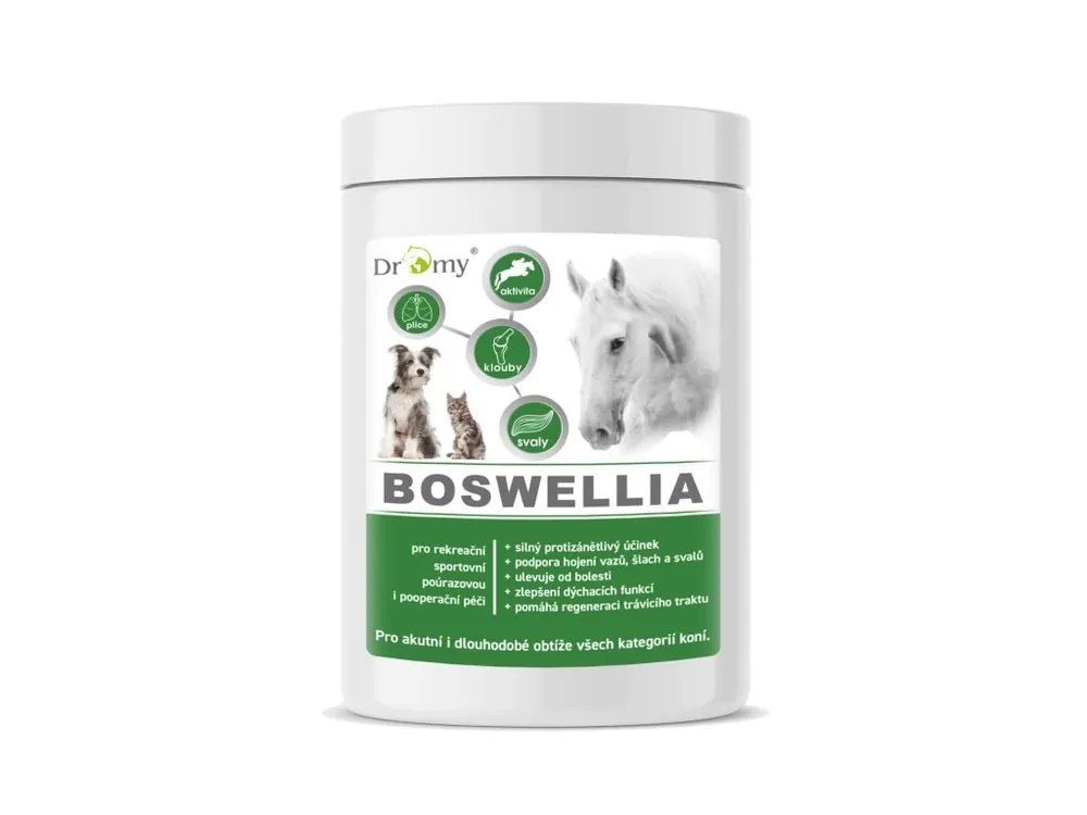 Dromy BOSWELLIA FORTE 750 g Nejlepší Volba