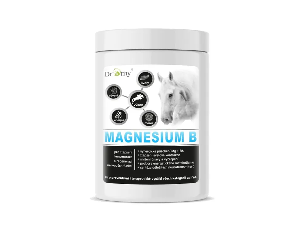 Originální Dromy Magnesium B 1kg - hořčík, klid, stres