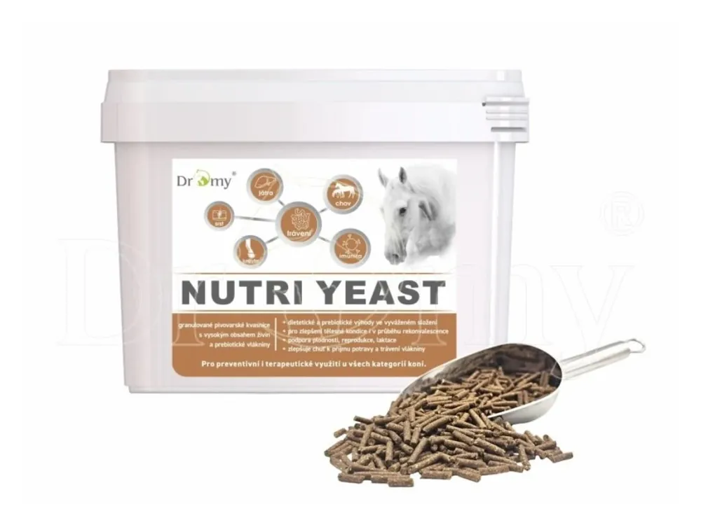 Finální Výprodej Dromy Nutri Yeast 6 kg