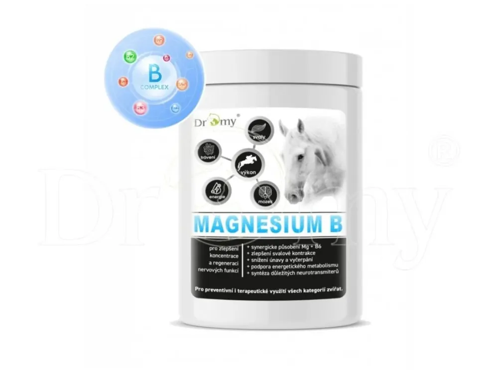 Kup Teď Dromy Magnesium B 3kg - hořčík, klid, stres