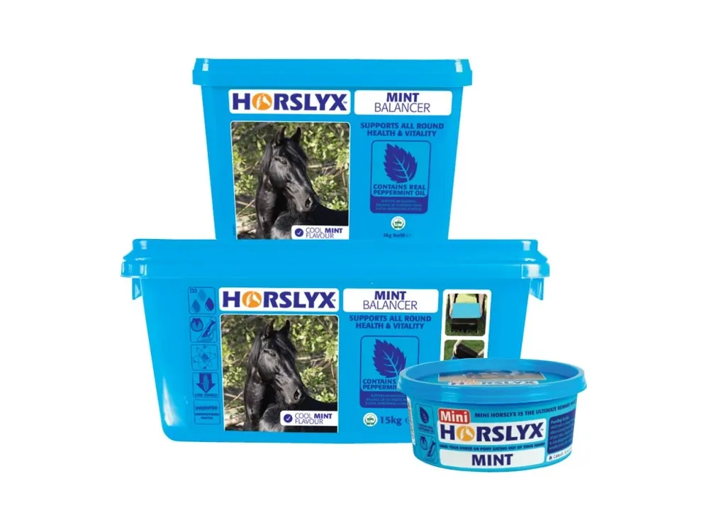 HORSLYX Mint Levný