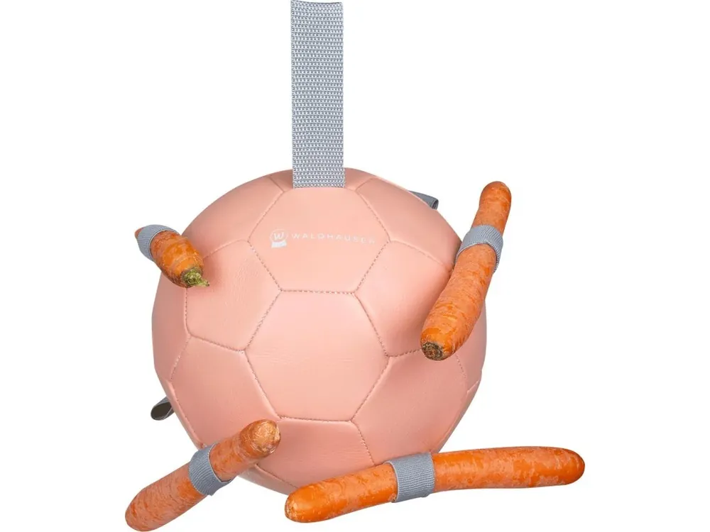 Hračka pro koně Carrot Ball Objednat Nyní