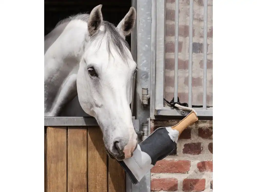 Vrácení Zdarma Horse toy champagne bottle