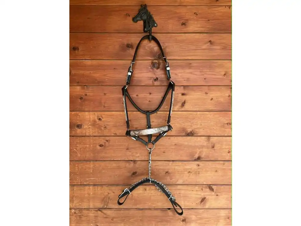 Show halter ohlávka s vodítkem, tmavě hnědá se silver doplňky Speciální Cena