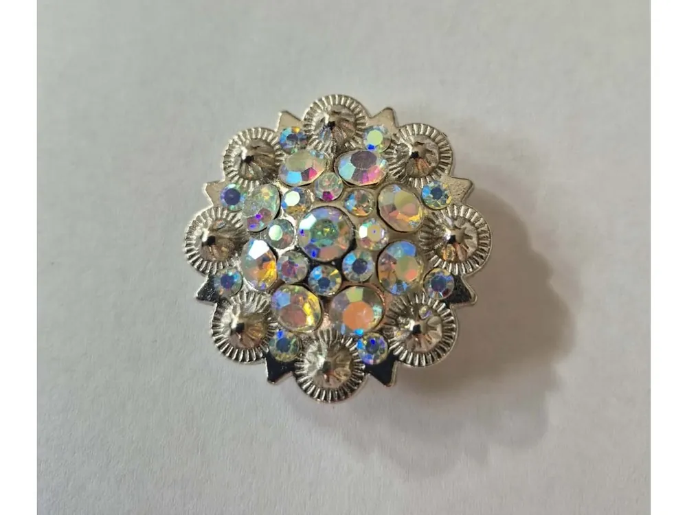 Sezónní Sleva Náhradní Concho s Multi color kamínky ve stříbrném základu, 3,6 cm