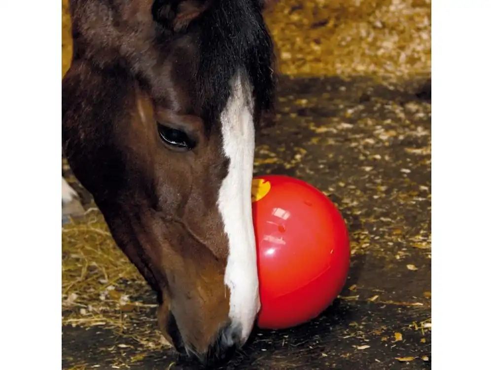 Ověřený Likit míč na hraní - Snack and Ball