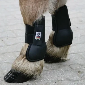 Hit Sezóny Šlachovky Shetty