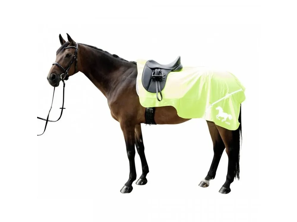 Rychlé Dodání Bederka reflexní HKM