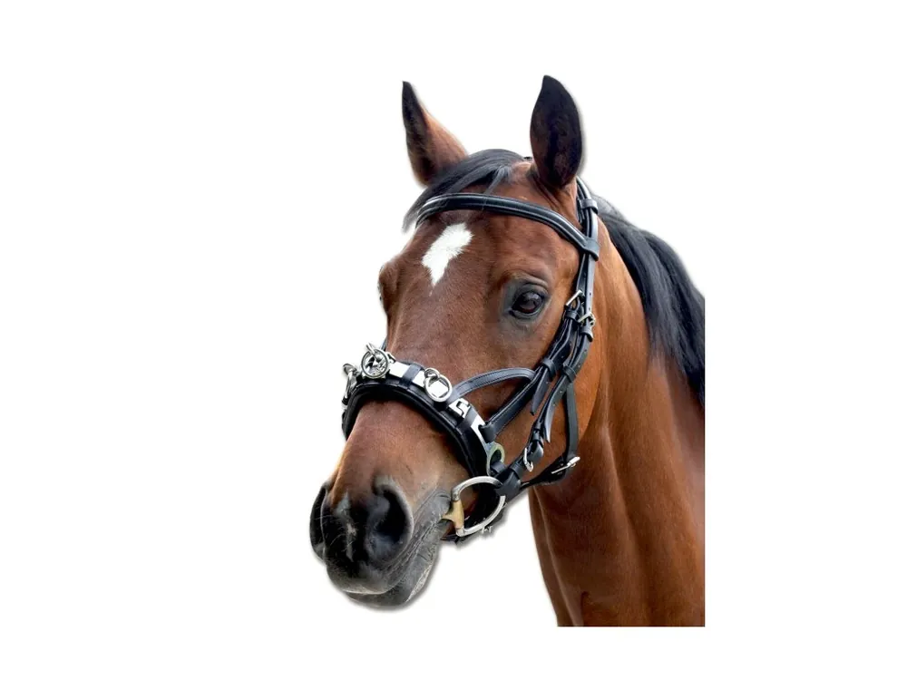 Cenově Výhodný Lonžovací obnosek kůže