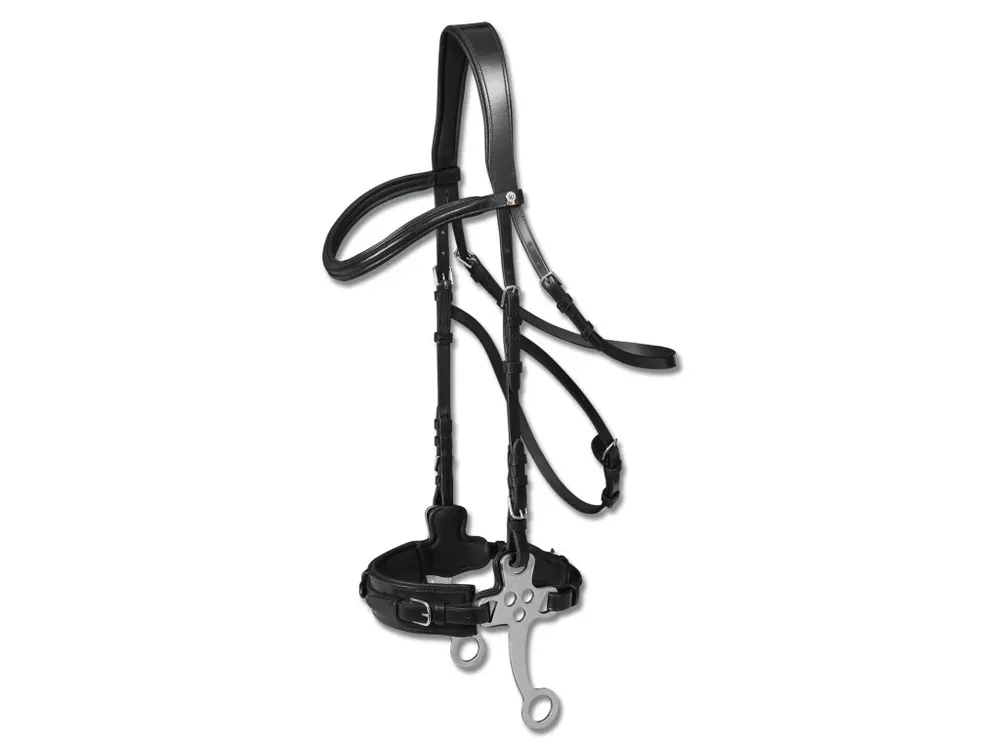 Uzdečka s hackamore Waldhausen X-LINE Nejprodávanější
