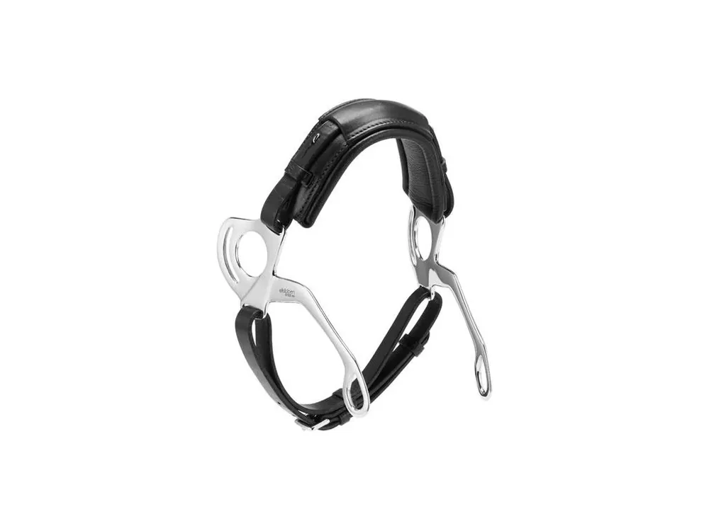 Must-Have Hackamore Stubben