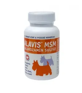 Koupit Online ALAVIS MSM + GLUKOSAMIN SULFAT 60 TABLET