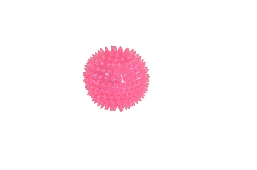 PÍSKAJÍCÍ MÍČEK 6,5 cm Finální Výprodej