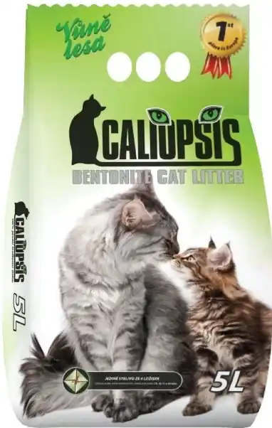 STELIVO CALIOPSIS VŮNĚ LESA 5L Aktuální