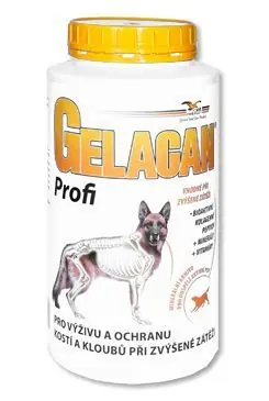 Gelacan Plus Profi 1000g Ihned K Objednání