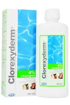 Akční Nabídka Clorexyderm šampon 4% ICF 250ml