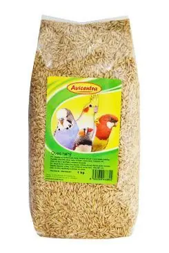 Autentický Avicentra oves nahý 1kg