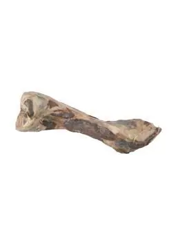 Hit Sezóny Pochoutka pes kost od šunky 24cm
